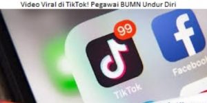 Video Viral di TikTok! Pegawai BUMN Undur Diri